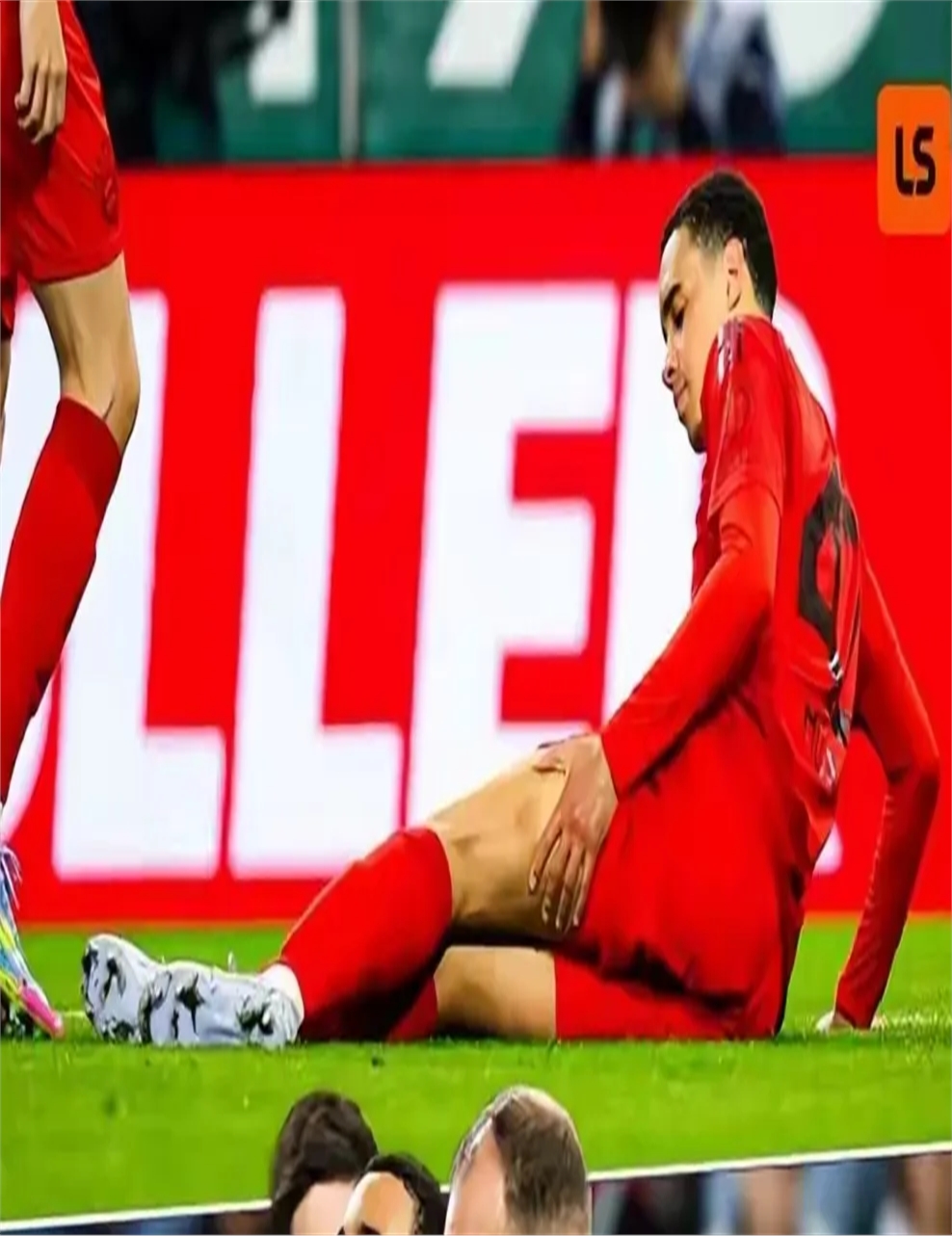 布鲁克林有棵树电影完整版免费